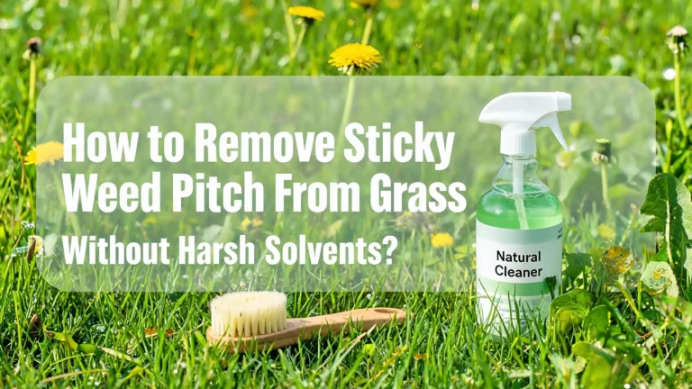 How to Remove Sticky Weed Pitch From Grass Without Harsh Solvents?